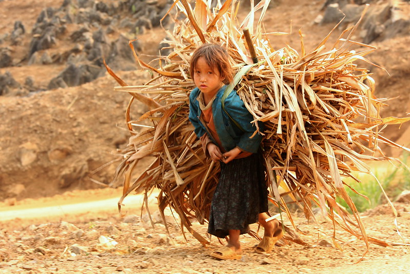 child fields Vietnam Image ILO Flickr