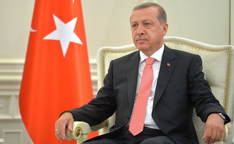 Erdoga.wikimedia commons