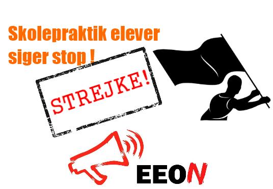 Strejke: Aalborgs SKP-elever kræver en løn til at leve af!