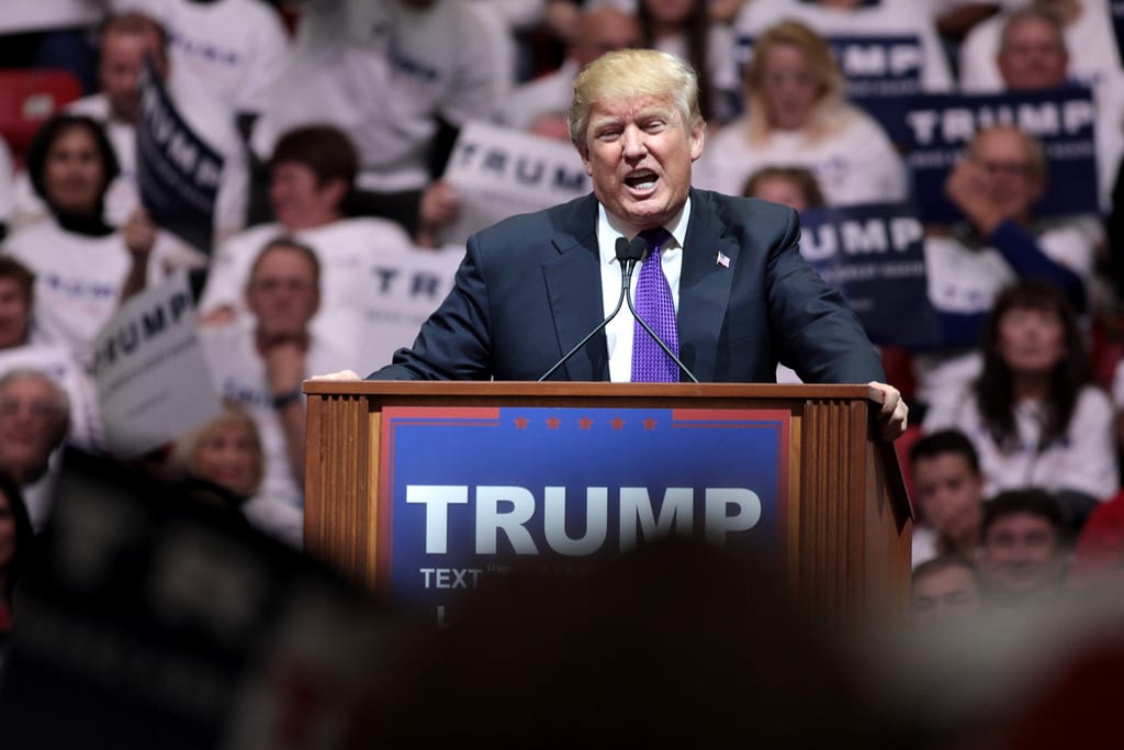 24618068383 7e7b9b1eac b