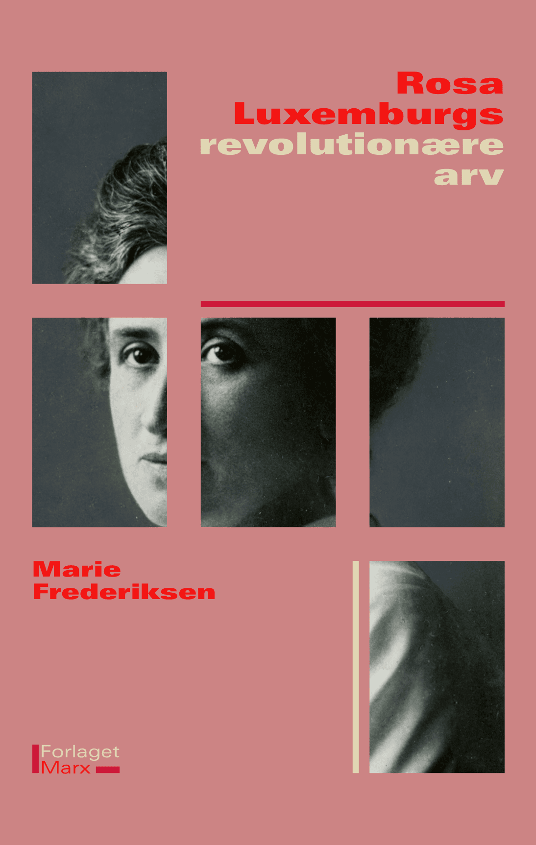 Ny bog: Rosa Luxemburgs revolutionære arv