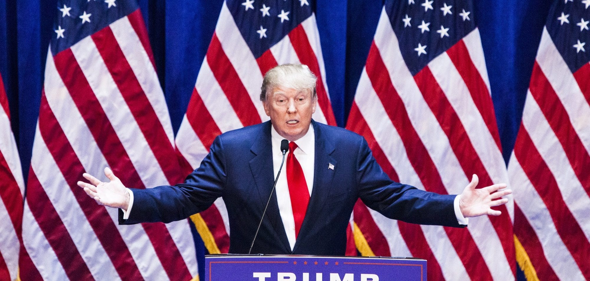 DonaldTrumpAmericanFlag e1541193434903