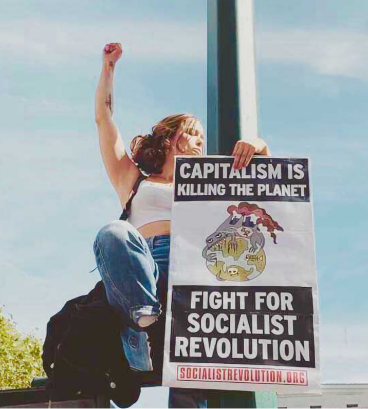 Socialist revolution