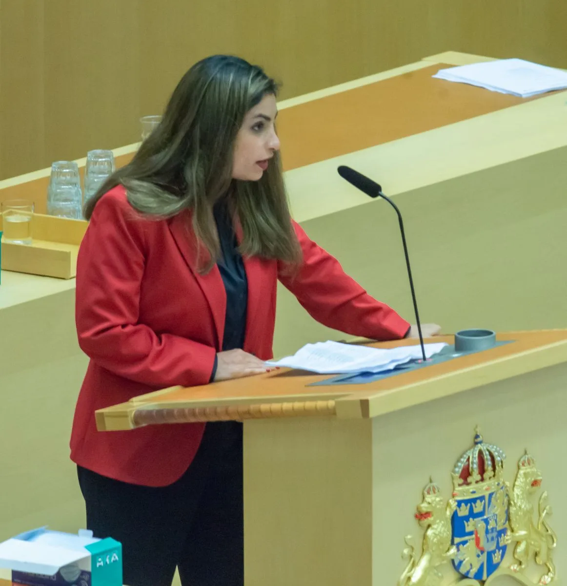 Nooshi Dadgostar. Image Frankie Fouganthin Wikimedia Commons CC BY SA 4.0