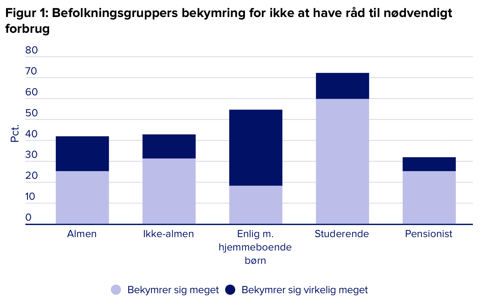 bekymring nodvendigt forbrug