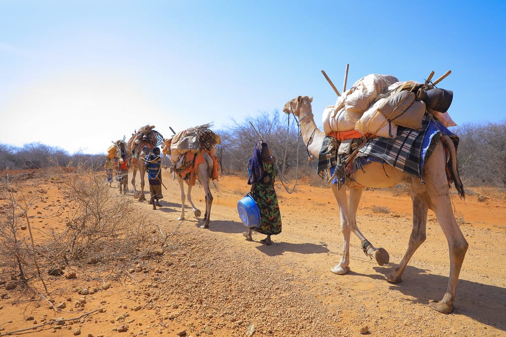 Klimakrisen: Tørke på Afrikas Horn, kapitalismens skjulte skam