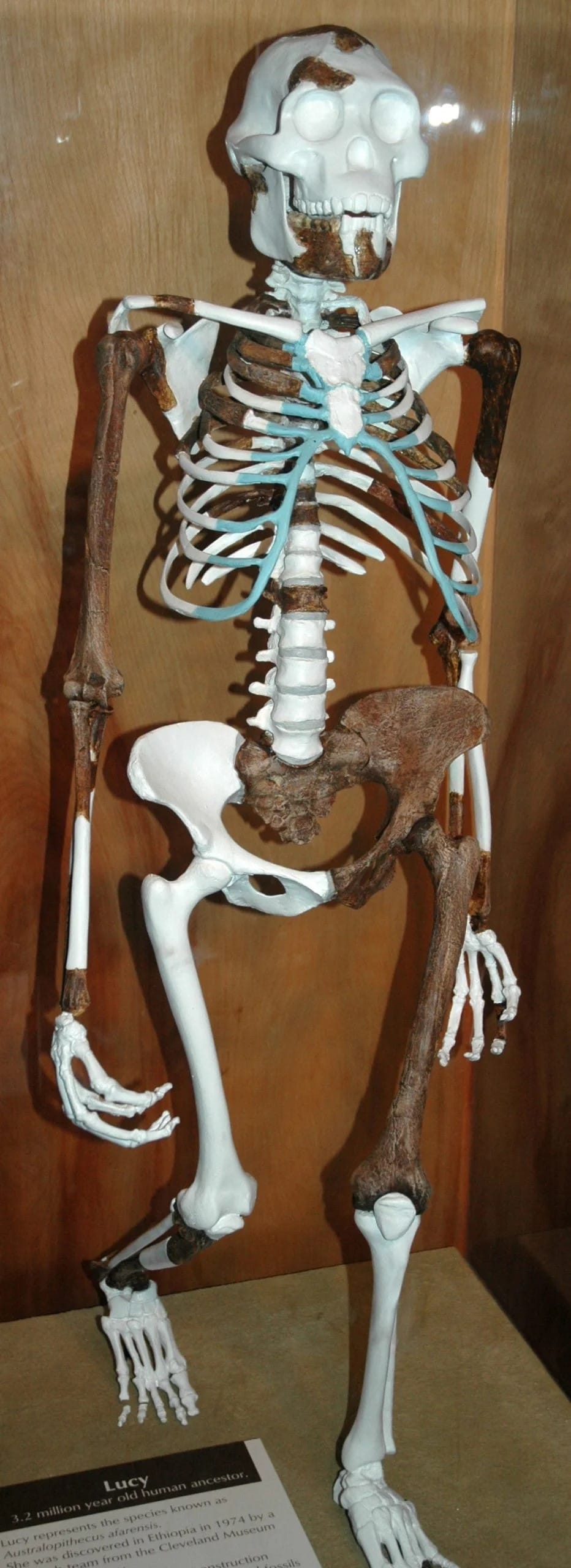 15460365261 9d10f15c37 o scaled