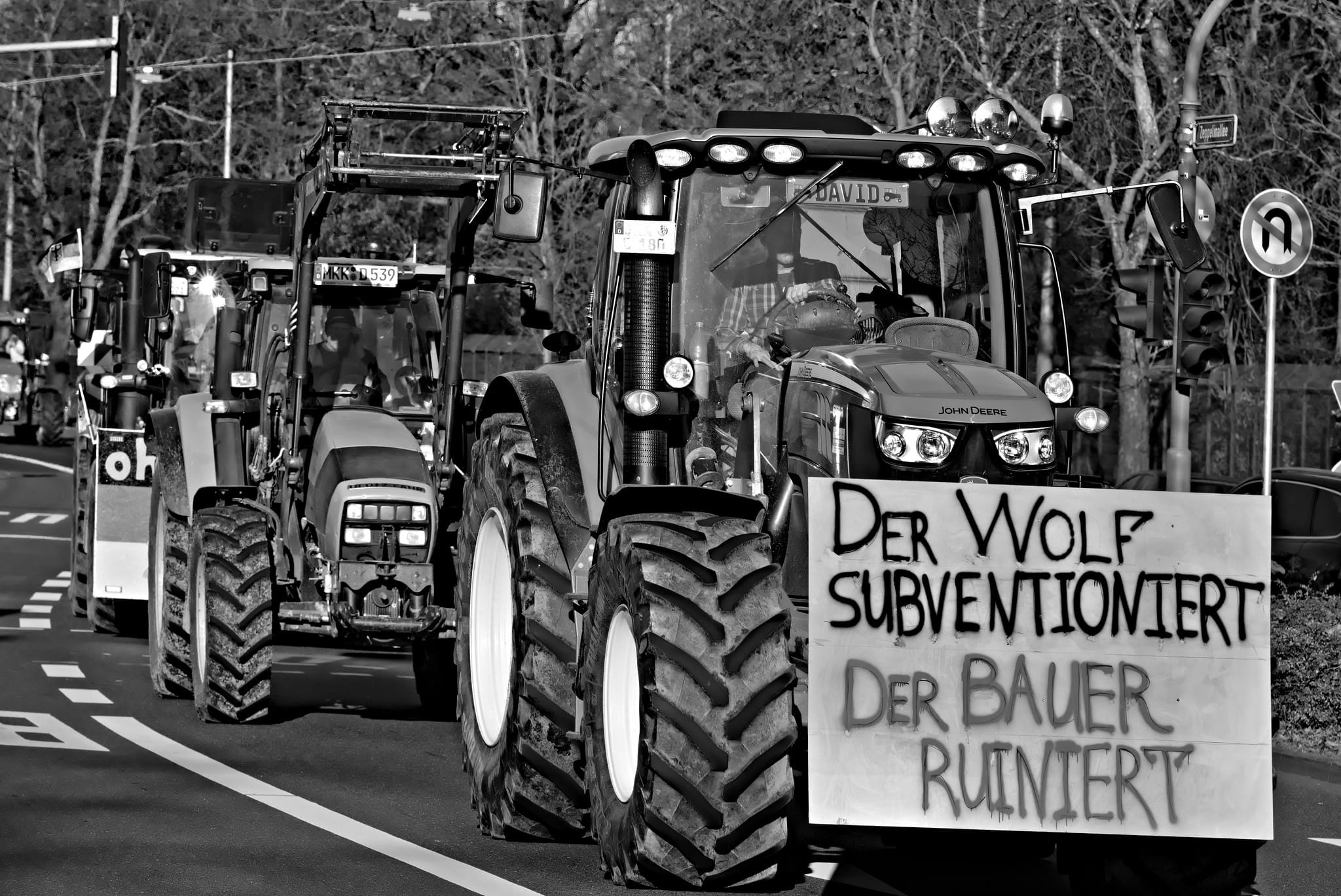 Wolf is subsidised Image conceptphoto.info Flickr