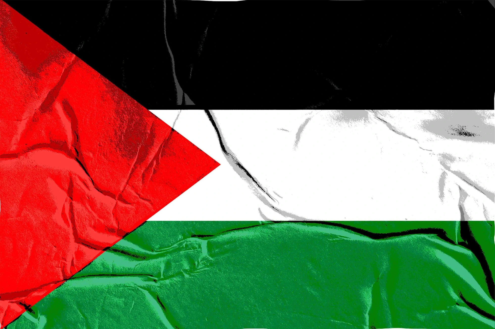 Ned med hykleriet! Forsvar Gaza! – Udtalelse fra RCI