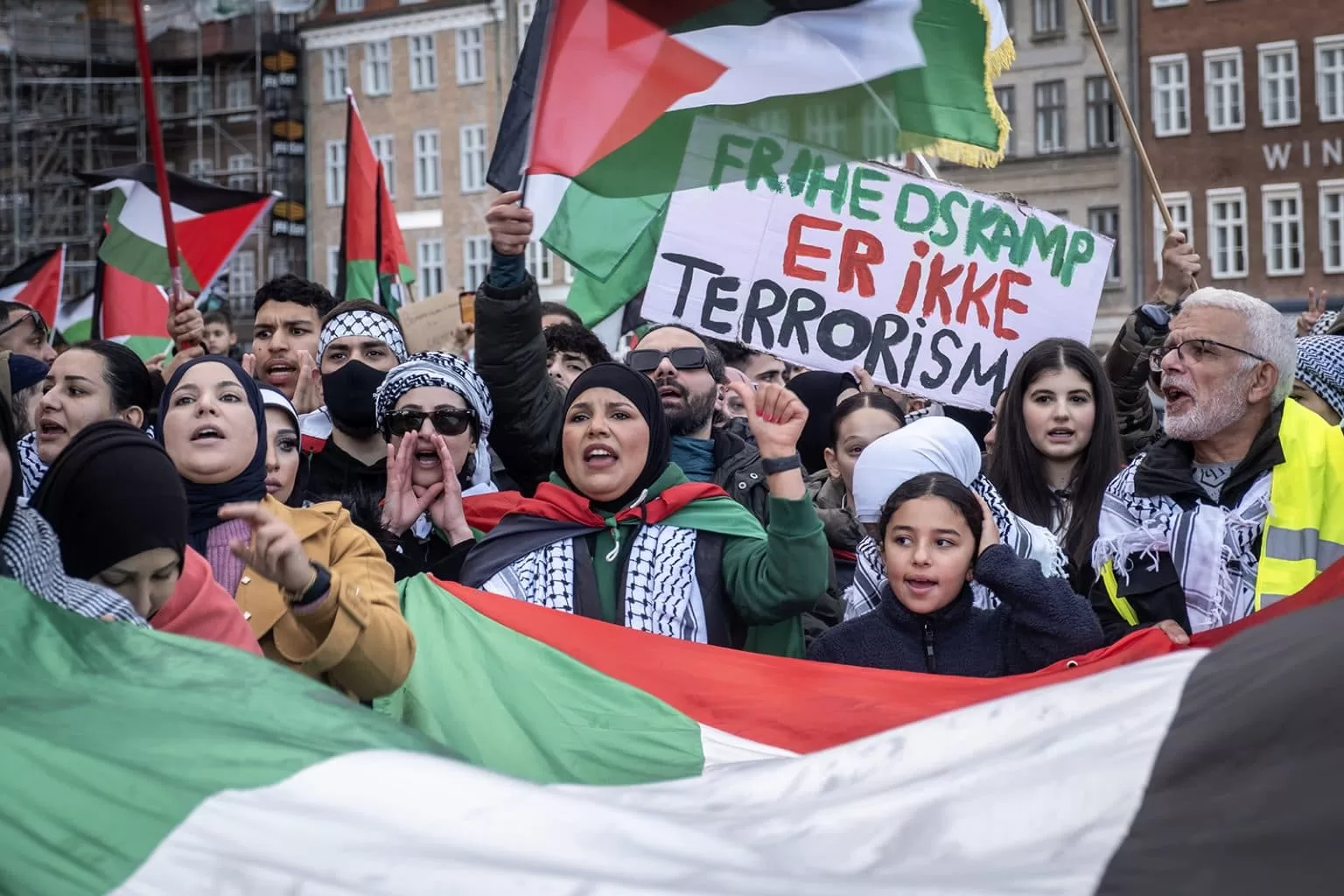 Lektioner fra et års Palæstina-demonstrationer