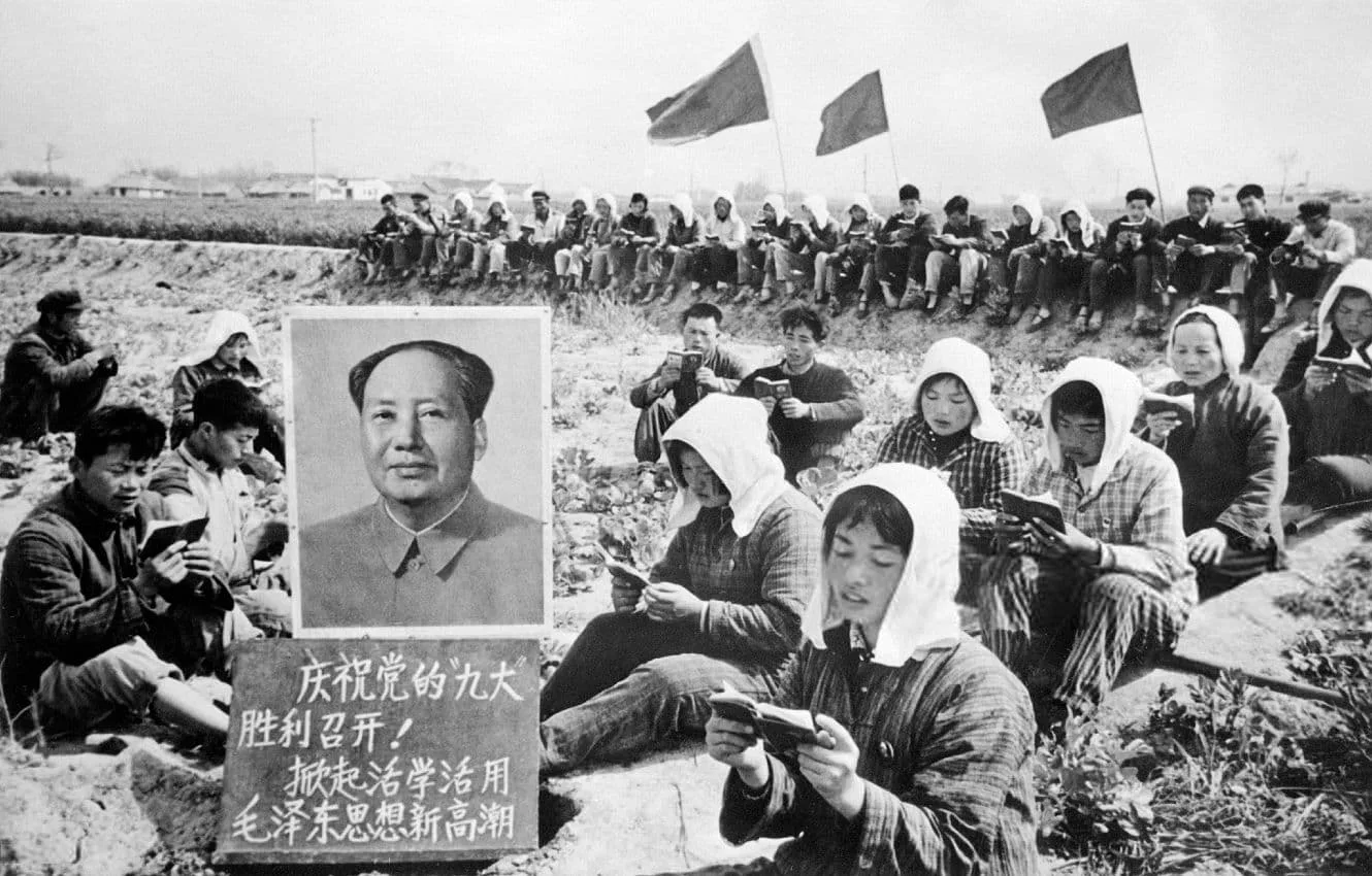 Læser med mao