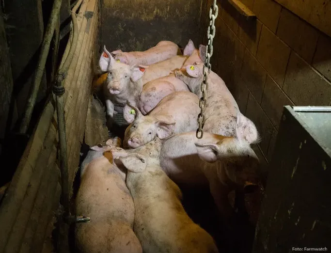 25518882044 d8aac51153 b