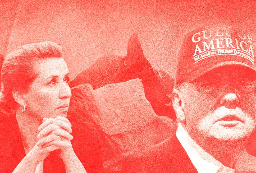 Udtalelse hjemmeside