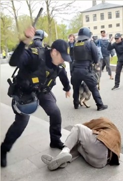 Politiet tæsker demonstranter foran mærsk