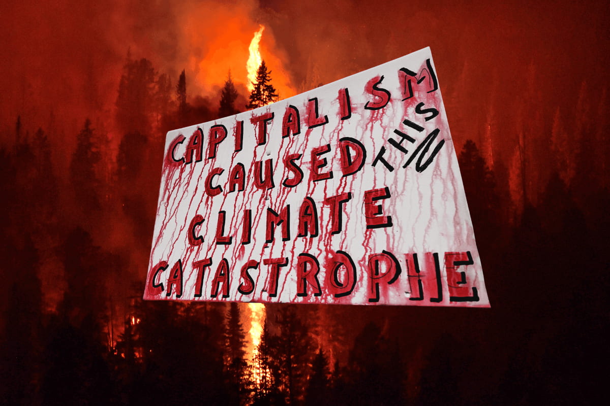 Climate crisis