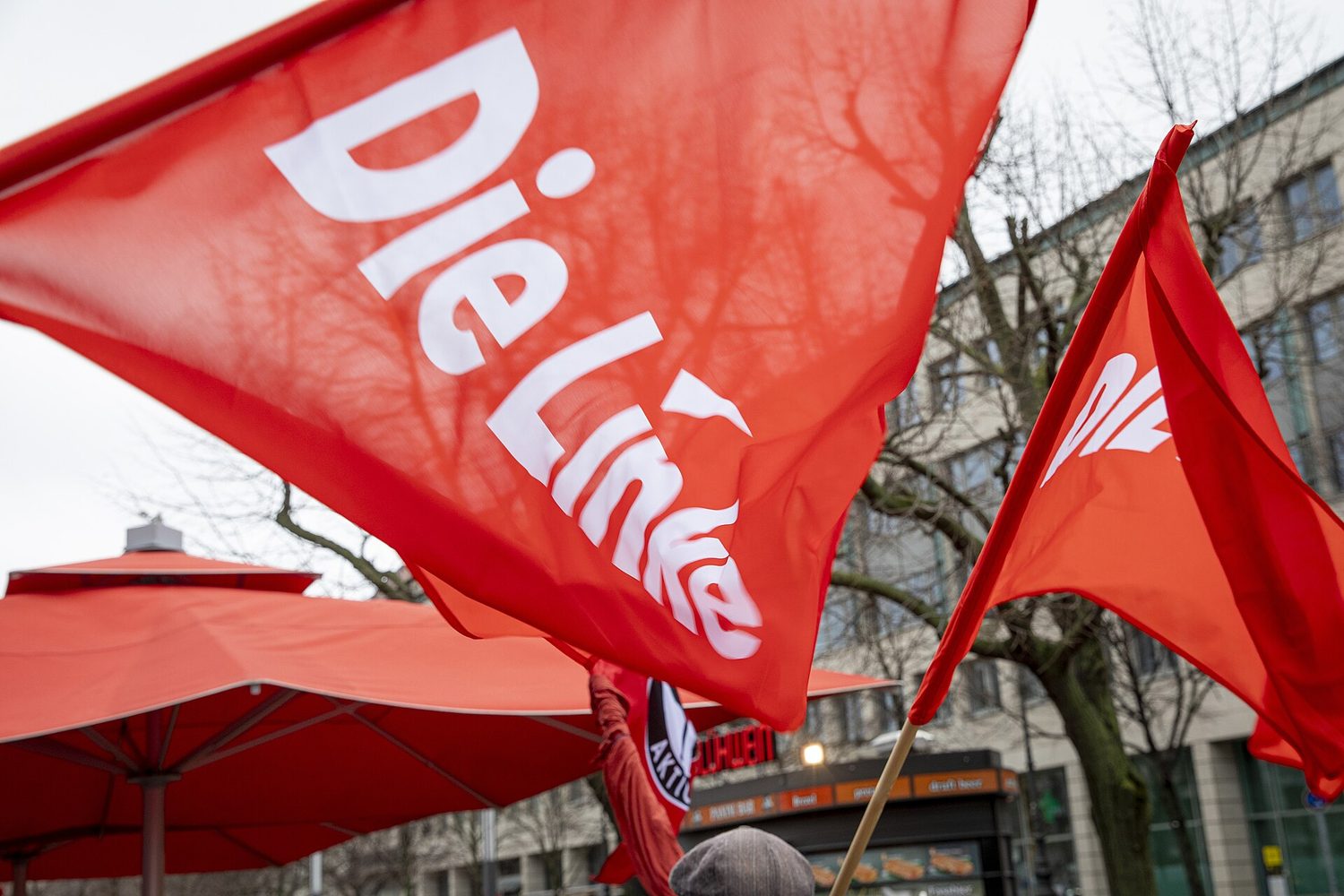 Die Linke. Wikimedia commons