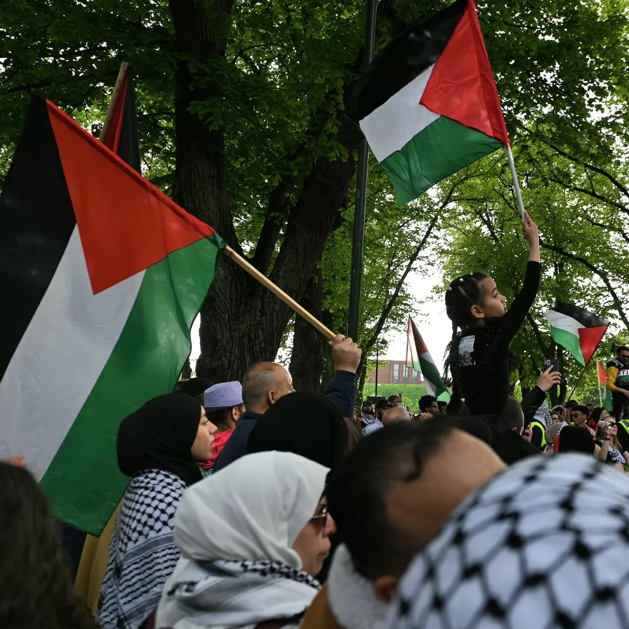 Photo palestine