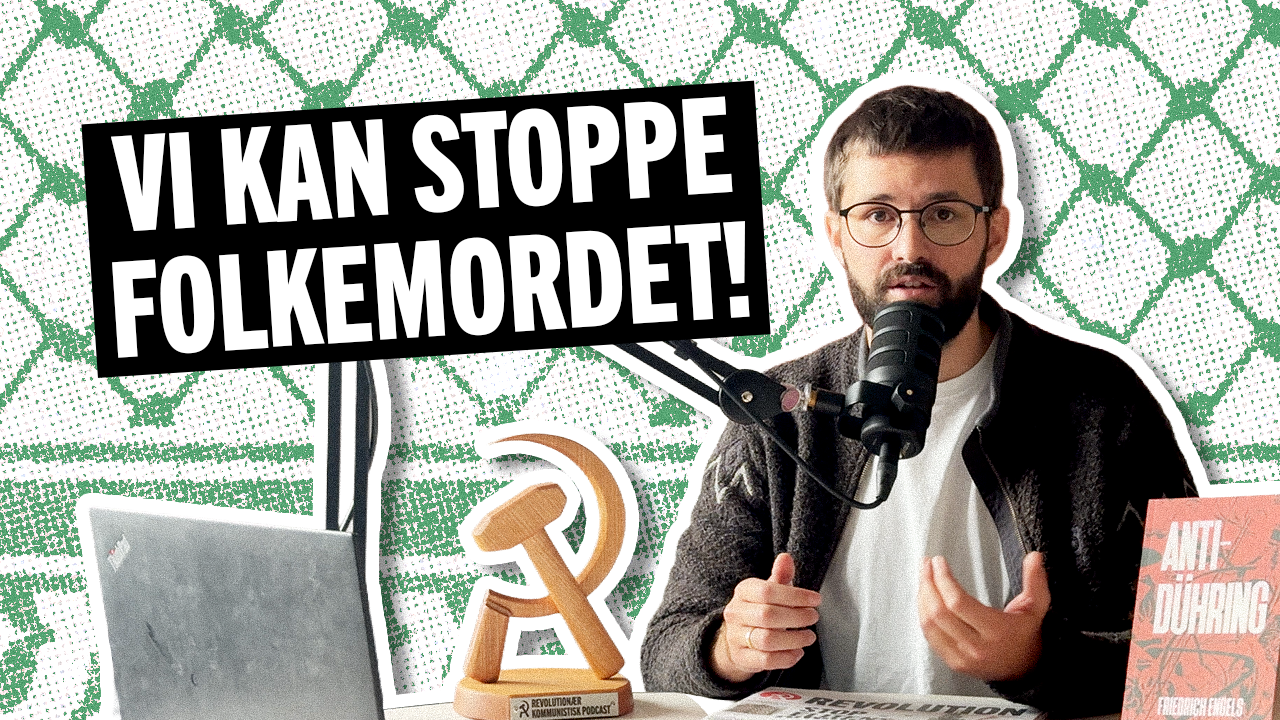 Palæstina: Hvordan stopper vi folkemordet?